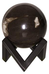 Petrified Wood Sphere, Decorative accessory, Medium - Andrew Martin