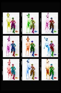Rainbowie - David Bowie, Photographic Artwork, Multicoloured - Andrew Martin