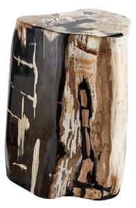 Petrified Log Side Table, Side Table or Stool - Andrew Martin