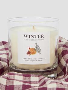Seasonal Spice Winter Candle | Default | Piglet in Bed