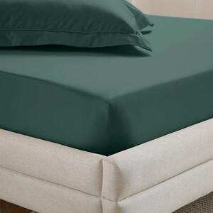 Dorma Crisp & Fresh 400 Thread Count Egyptian Cotton Percale Fitted Sheet