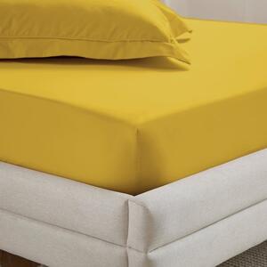 Dorma Crisp & Fresh 400 Thread Count Egyptian Cotton Percale Fitted Sheet