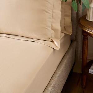 Dorma Premium Brushed Cotton Fitted Sheet