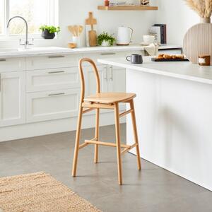 Frances Counter Height Bar Stool