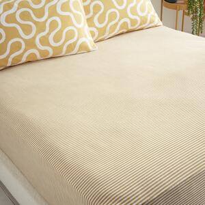 Elements Stripe 100% Cotton Fitted Sheet