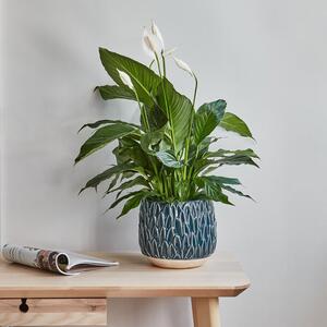 Arles Leaf Embossed Plant Pot