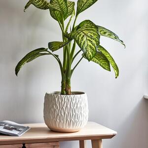 Arles Leaf Embossed Plant Pot