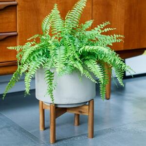 Vigo Concrete Plant Pot with Stand