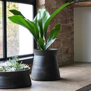 Kew HandThrow Blanketn Plant Pot