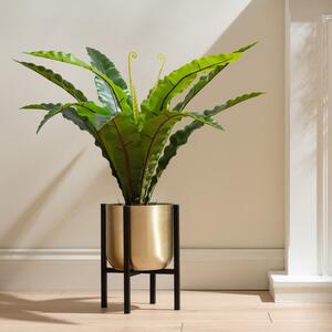 Gold Metal Plant Pot with Black Stand