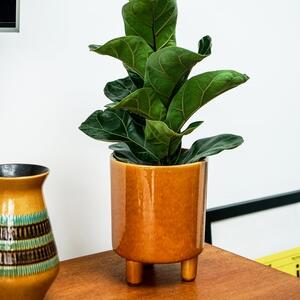 Pisa Plant Pot