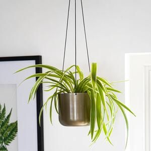 Kew Hanging Plant Pot