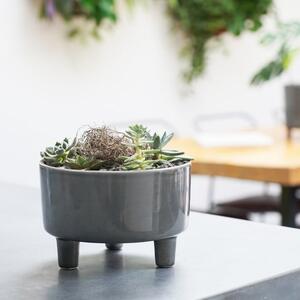 Pisa Bowl Plant Pot