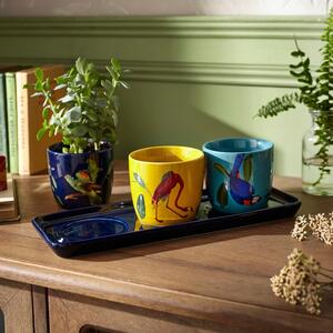 Set of 3 Exotic Birds Plant Pots on Tray