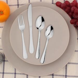 Thame 16 Piece Cutlery Set Silver