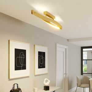 Rothfels Lian LED ceiling light, brass matt