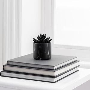Succulent in Black Marble Pot Black