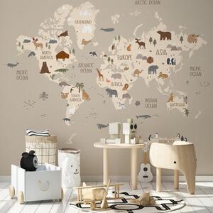 World Map Wall Mural