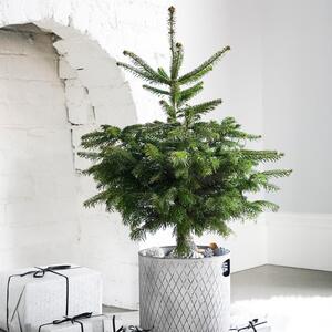 Indoor Zinc Christmas Tree Bucket