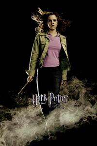 Art Poster Harry Potter - Hermione Granger, (26.7 x 40 cm)