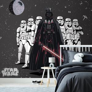 Star Wars Wall Mural