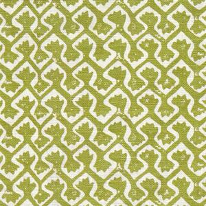 Clarke & Clarke Kalpa Fabric Apple