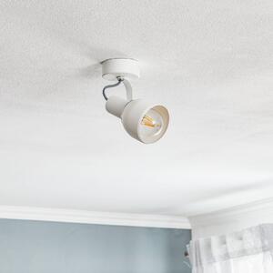 Fiord ceiling spotlight, one-bulb, white