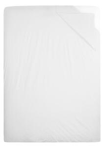 130TC Institutional Cotton Rich Flat sheets - Single (70x108 inch)