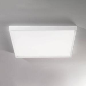 Tara maxi LED ceiling light, 74 cm x 74 cm