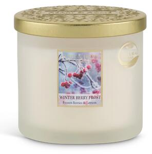 Heart and Home Winter Berry Frost Multi Wick Candle White