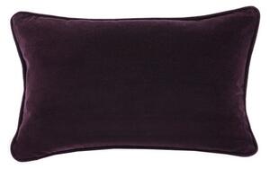 Clara Cotton Velvet Rectangle Cushion