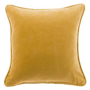 Clara Cotton Velvet Square Cushion