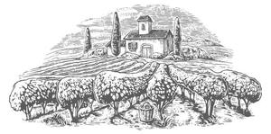 Illustration Rural landscape with villa, vineyard fields, DenPotisev, (40 x 22.5 cm)