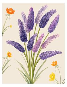 Illustration Purple flower, Bohonewart, (30 x 40 cm)