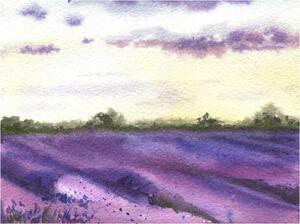Illustration Watercolor lavender field, hand drawn Provencal, Elena Dorosh, (40 x 30 cm)