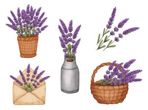 Illustration Set watercolor lavender bouquet in bucket,, Evgeniya Sheydt, (40 x 30 cm)