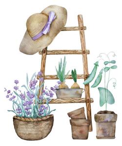 Art Print Beautiful lavender provence watercolor illustration, VYCHEGZHANINA