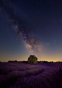 Art Photography Milky Way dreams, Carlos Hernandez Martinez, (26.7 x 40 cm)