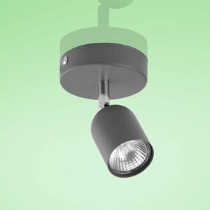 Top ceiling spotlight, one-bulb, graphite