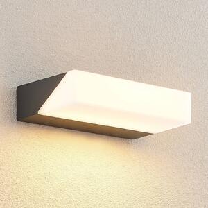 Lucande Golnar LED outdoor wall light