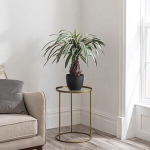 Artificial Dracaena Plant in Black Plant Pot