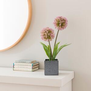 Artificial Lavender Allium in Cement Plant Pot