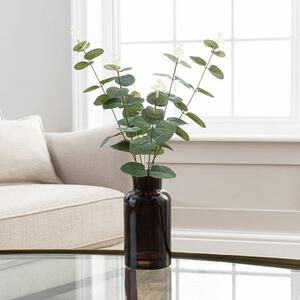 Artificial Eucalyptus in Black Vase