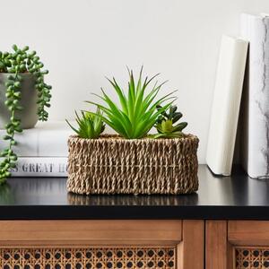 Artificial Succulents in Woven Plant Pot