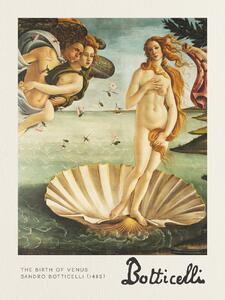 Fine Art Print The Birth of Venus - Sandro Botticelli, (30 x 40 cm)