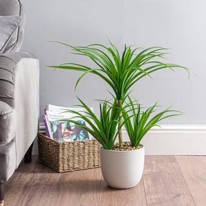 Artificial Yucca Plant in White Ceramic Plant Pot