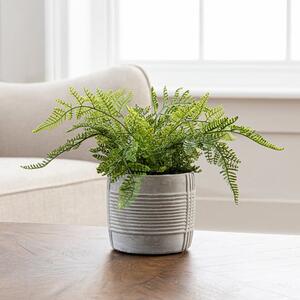 Artificial Green Fern in Grey Concrete Pot