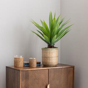 Artificial Dracaena in Bamboo Plant Pot