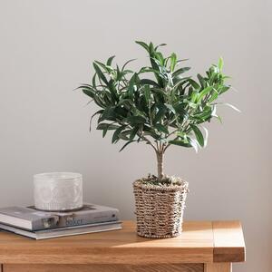 Churchgate Artificial Small Olive Tree in Woven Plant Pot