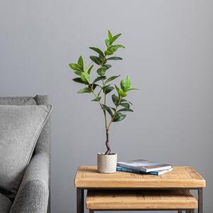 Artificial Lemon Leaf in Concrete Plant Pot